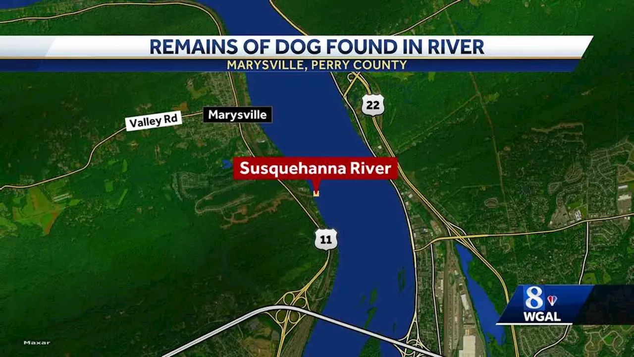 Remains of dog found in crate in Susquehanna River in Perry County