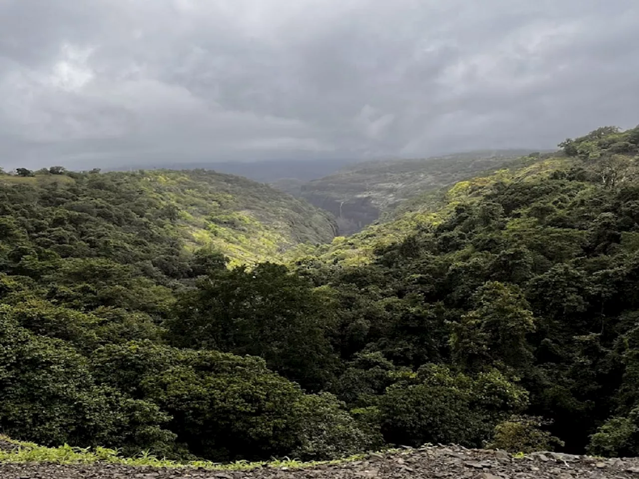 Maharashtra Weather News : कोकणापासून साताऱ्यापर्यंत काळ्या ढगांची दाटी; पण, पाऊस कुठंय? हवामान विभाग म्हणतो....