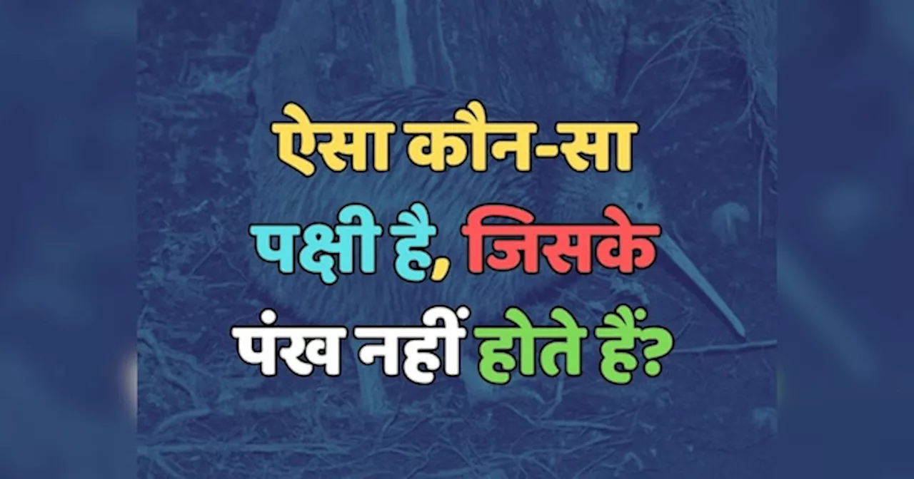 Trending Quiz : ऐसा कौन-सा पक्षी है, जिसके पंख नहीं होते हैं?