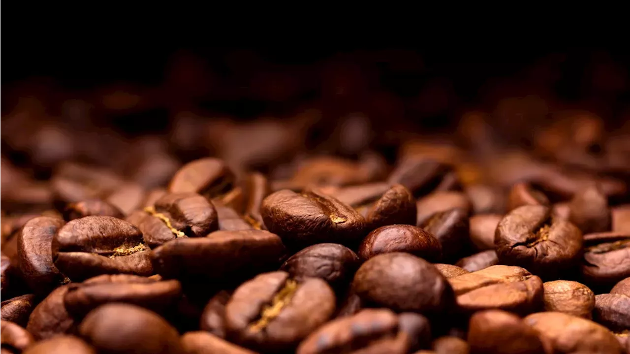 Coffee Recall 2024 Poisoning Vera Malena