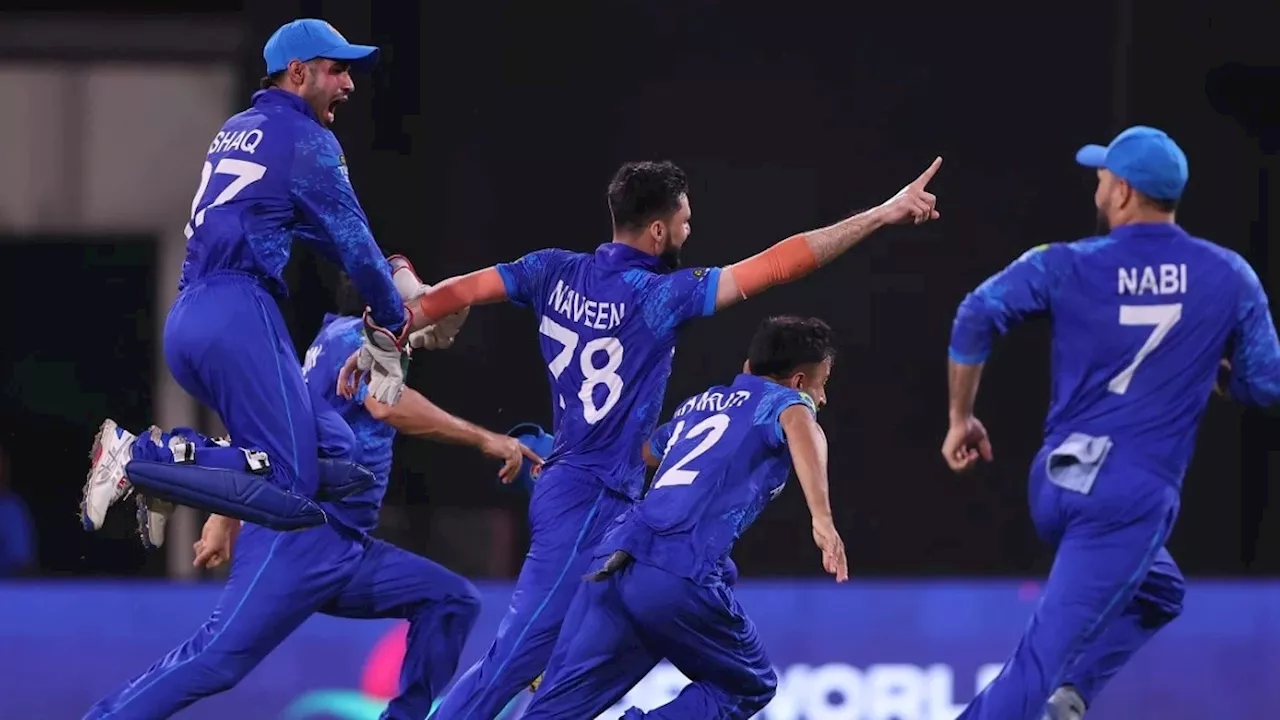 Afghanistan T20 World cup 2024 Semi-final: बड़े-बड़े तुर्रम खां को किया फुस्स... चमत्कार से कम नहीं अफगान टीम का सेमी-फाइनल तक का सफर