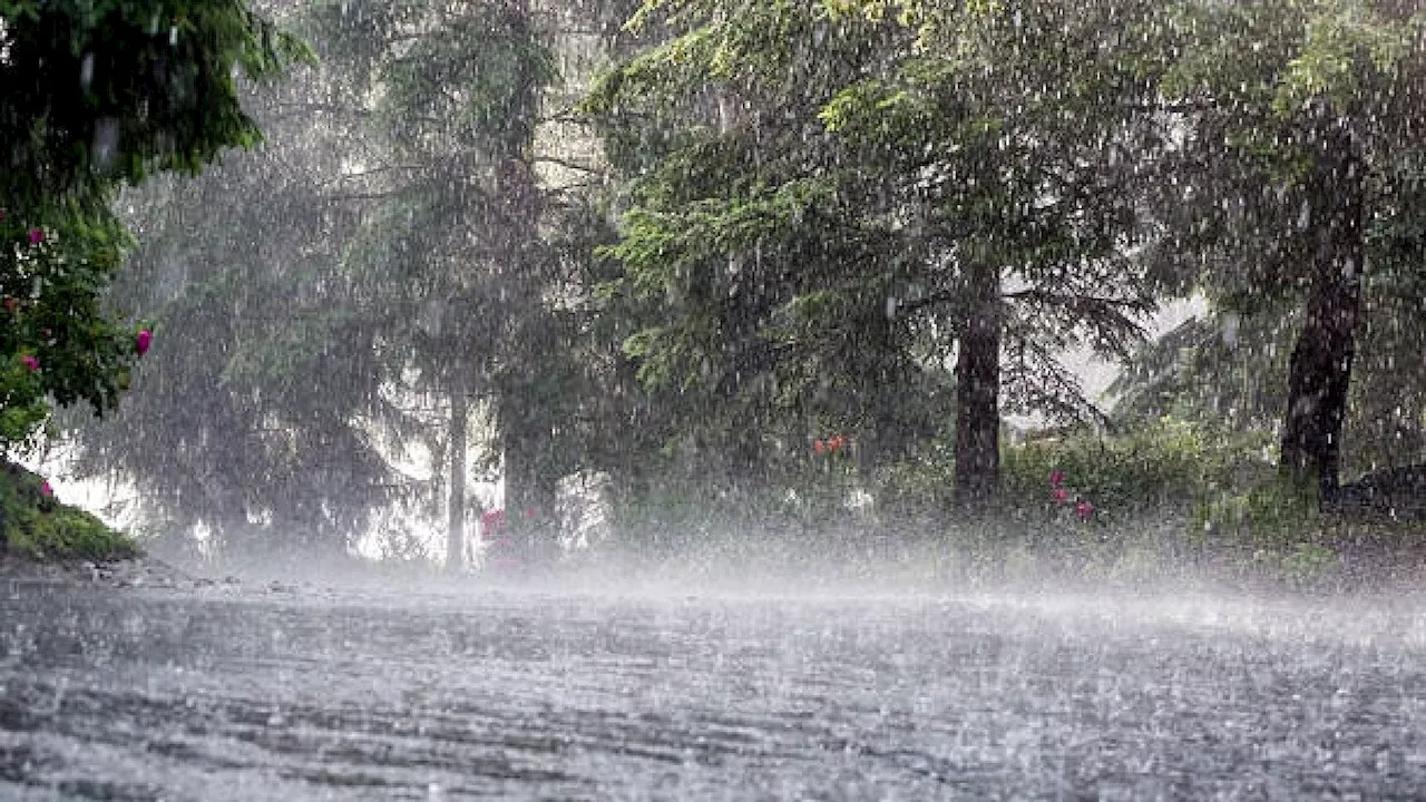 IMD Rain Alert: 5 दिन इन राज्यों में खूब बरसेंगे बादल, IMD ने जारी किया भारी से बहुत भारी बारिश का अलर्ट