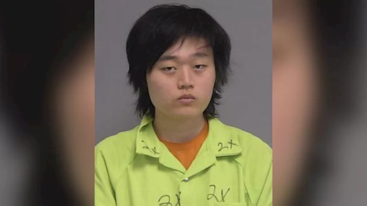 Gamer allegedly flew to Florida to attack fellow player he met online: Sheriff
