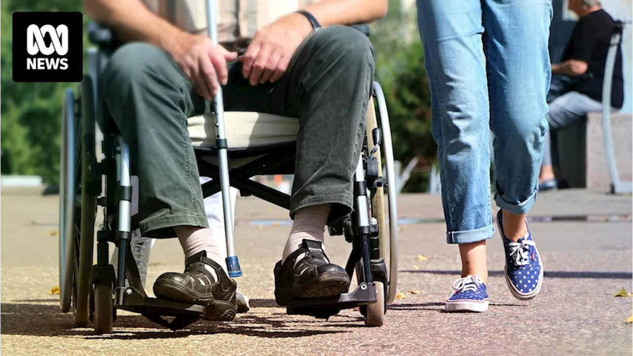 Disability groups urge government to tread carefully with NDIS changes as minister gets in a tangle with the senators over Brazil trip