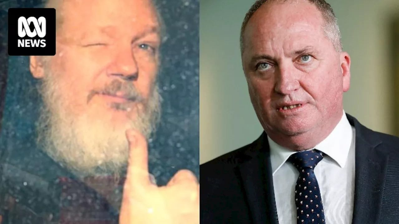 'Great encouragement' in seeing Assange on a plane, says Barnaby Joyce