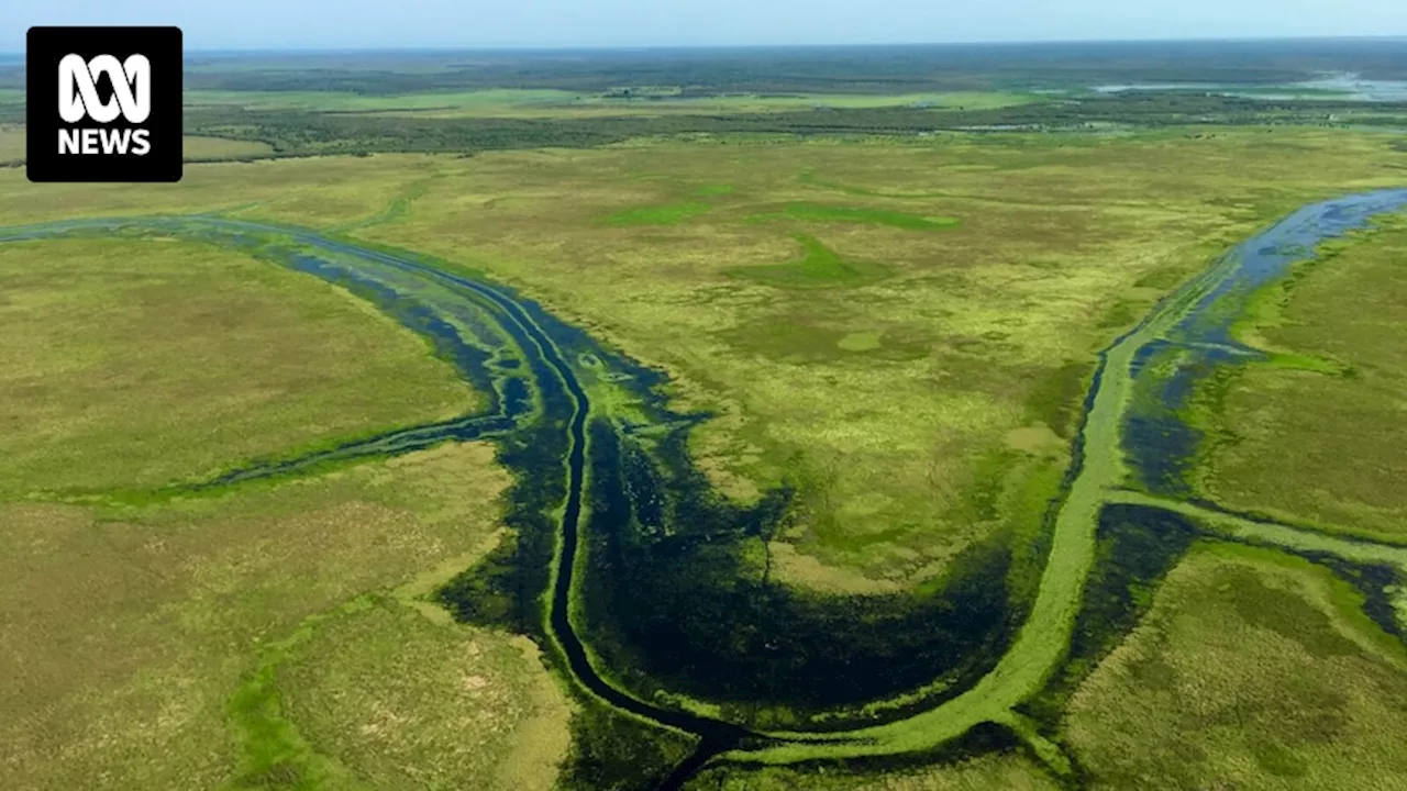 Rallen Australia buys Woolner Station Darwin floodplain cattle property for $49 million