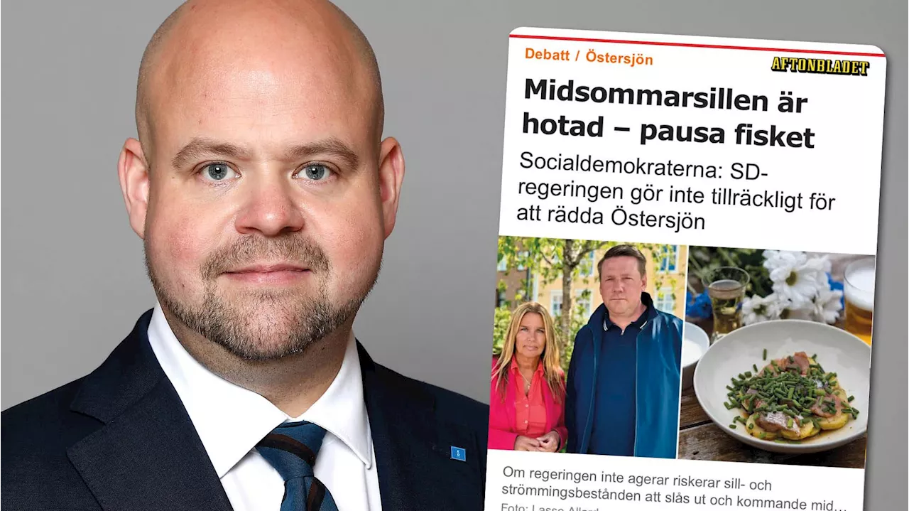 Villfarelser från S om sillfisket i Östersjön