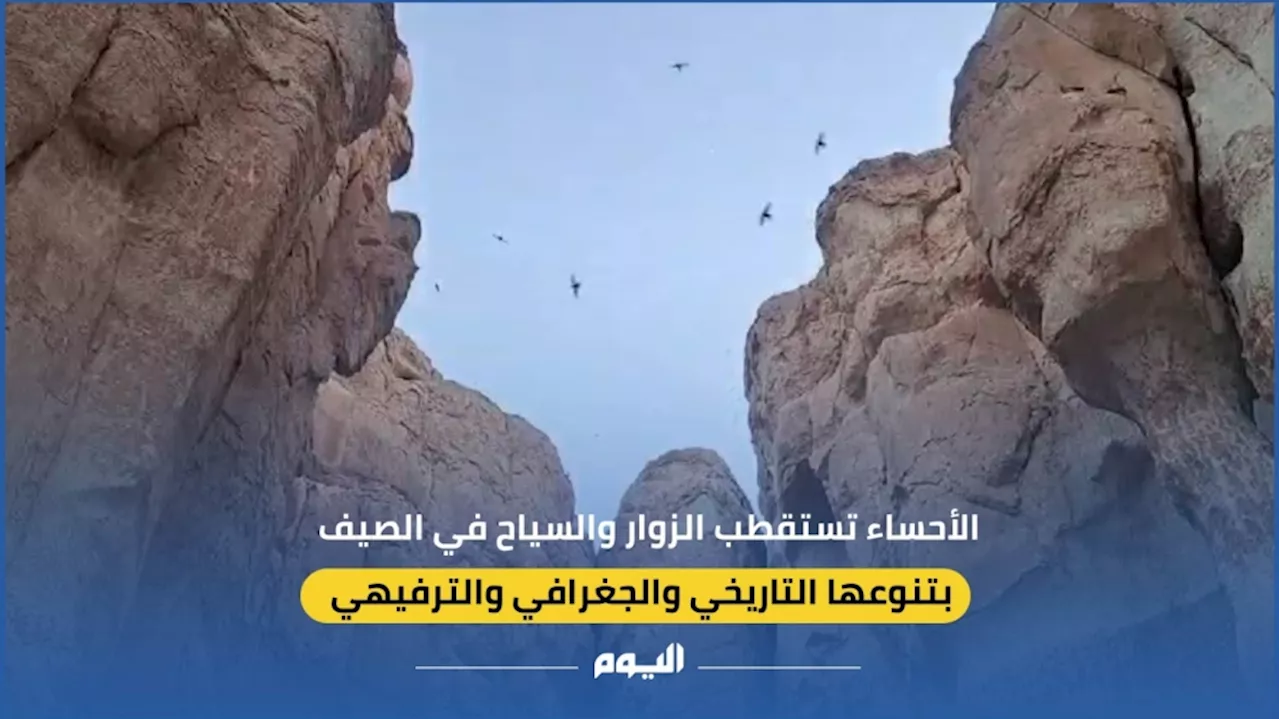 فيديو| التنوع التاريخي والجغرافي والترفيهي بالأحساء يجذب السياح في الصيف