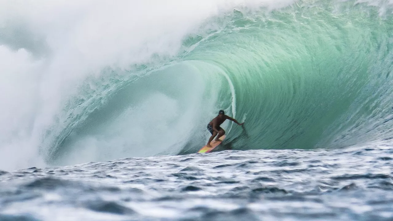 Hawaii: Hawaii lifeguard Tamayo Perry dies in shark attack surfing off ...