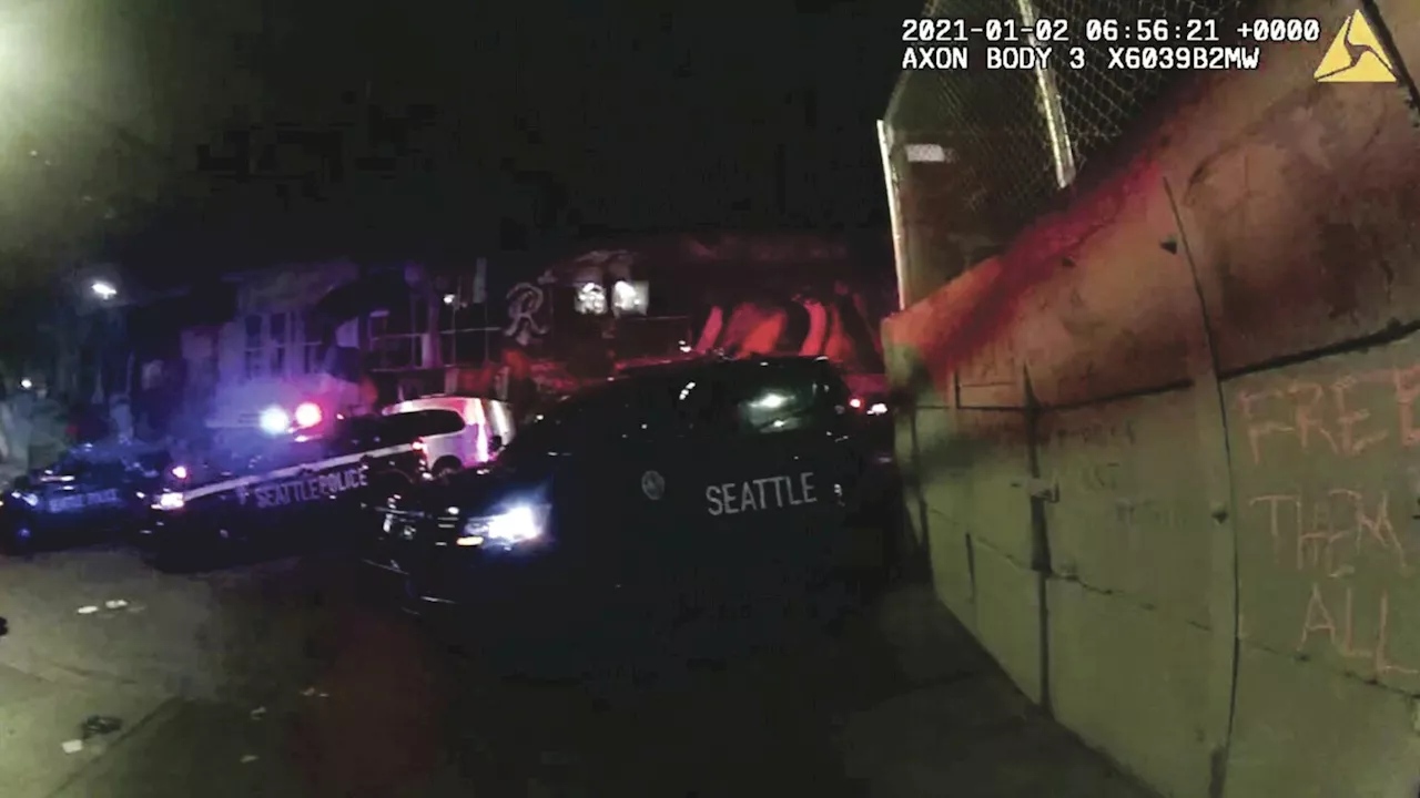 Law Enforcement: Jury awards $700k to Seattle protesters jailed for ...