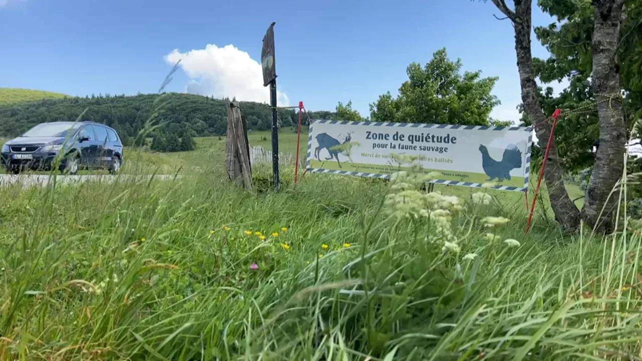 Massif des Vosges: un collectif se mobilise contre les nuisances sonores sur la route des Crêtes