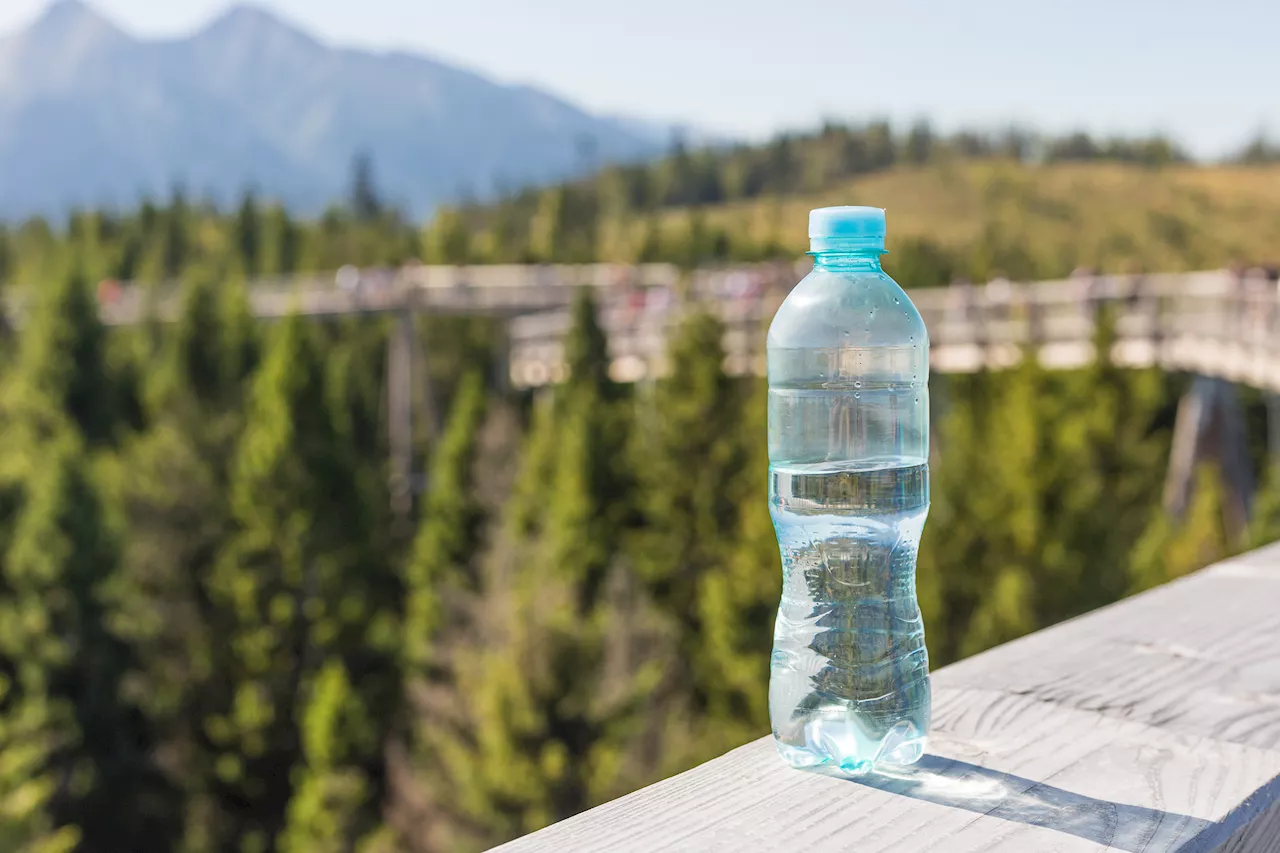 Plastic bottles found to leach toxic chemicals in the sunlight