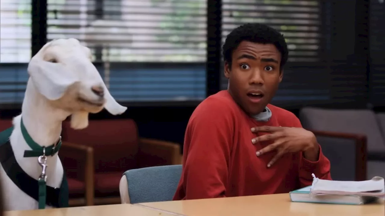 Community Movie Script, Donald Glover Not Delaying Start: Dan Harmon