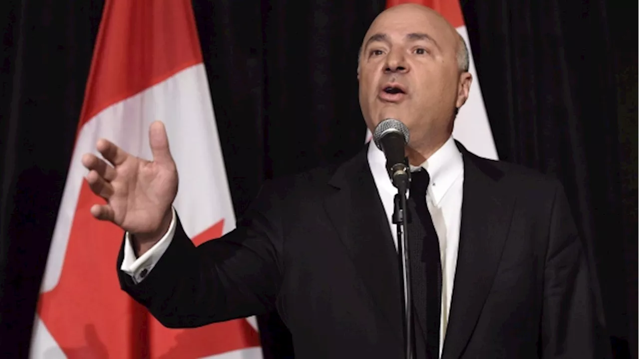 Kevin O'Leary blasts Canada's 'weak leadership' amid economic uncertainty