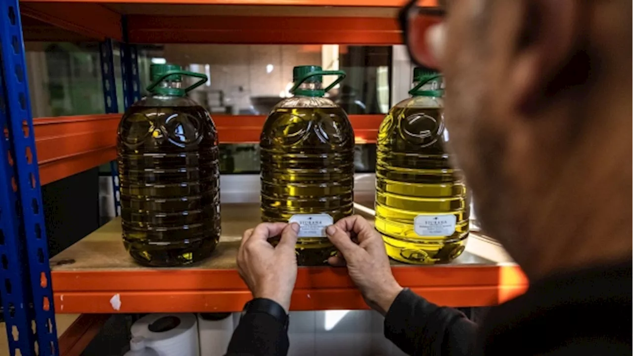 Spain Adds Olive Oil to VAT Exemption Running Until September 30