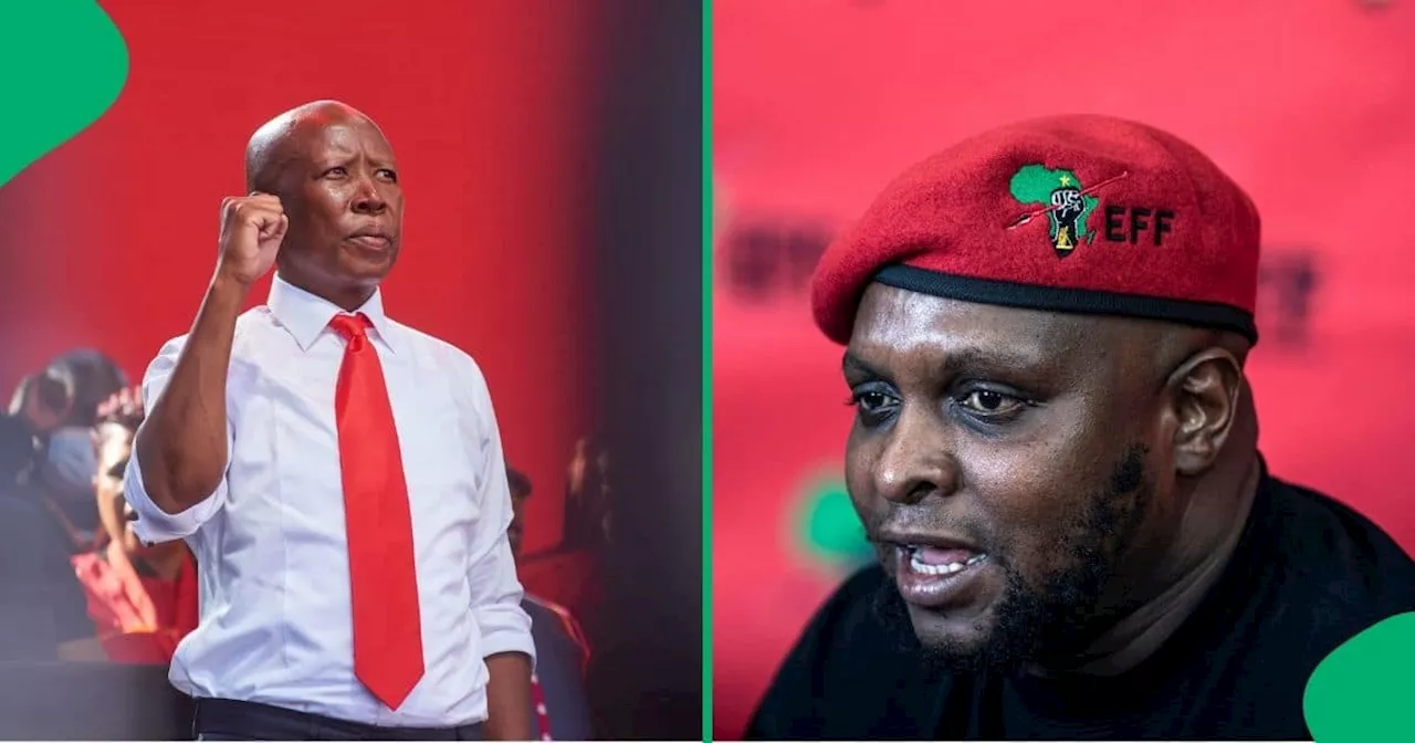 EFF's Floyd Shivambu Slams DA's Cabinet Demands as 'Racist Disregard' for Black South Africans