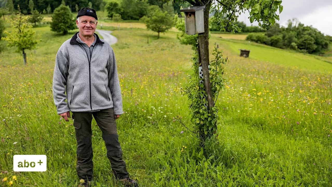 Das Leuchtturmprojekt für den Natur- und Tierschutz: «Obstgarten Farnsberg» als Lebensraum für seltene Vogelarten