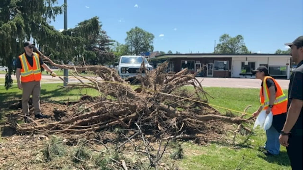 Weekend tornado in Deep River, Ont., confirmed