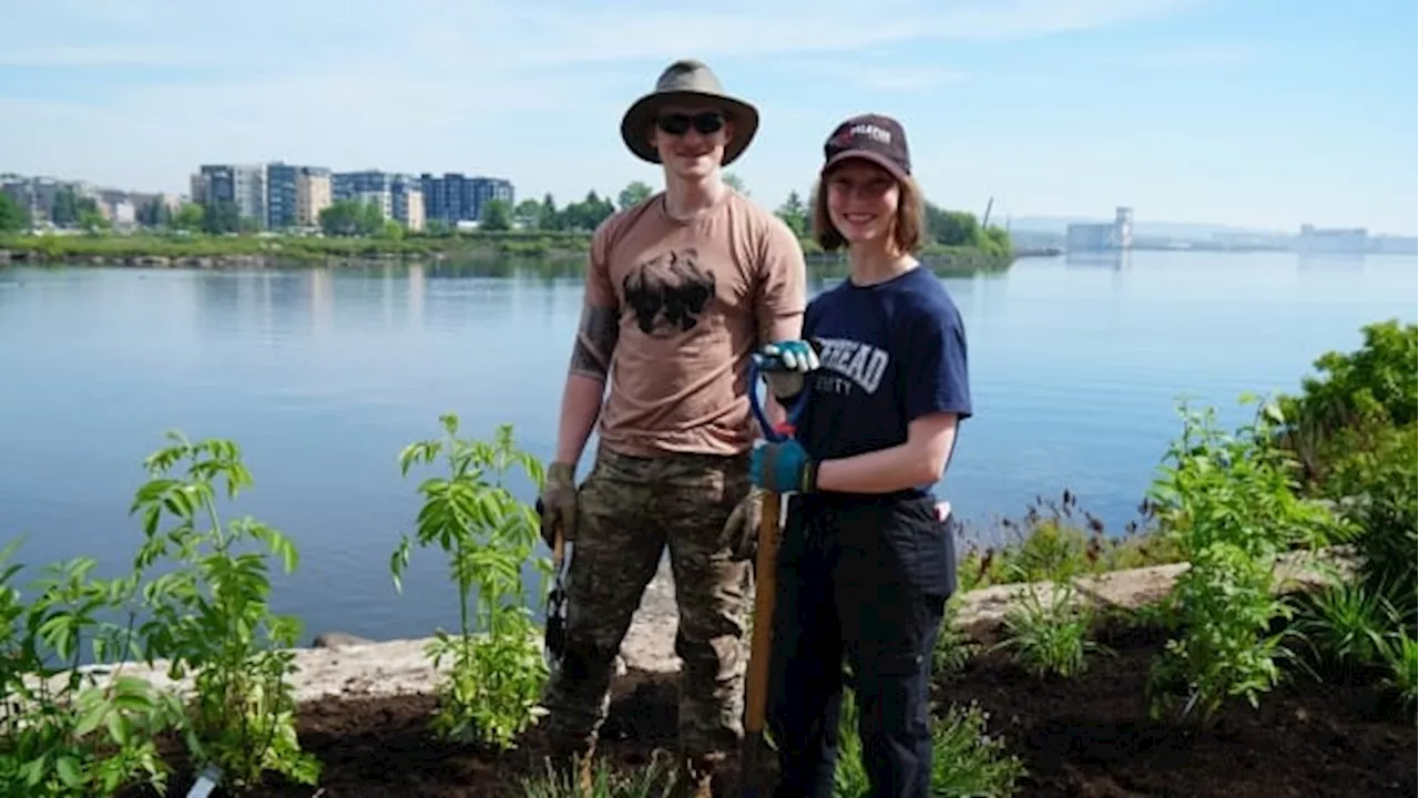 Thunder Bay Planting Day aims to restore waterfront along shores of Lake Superior