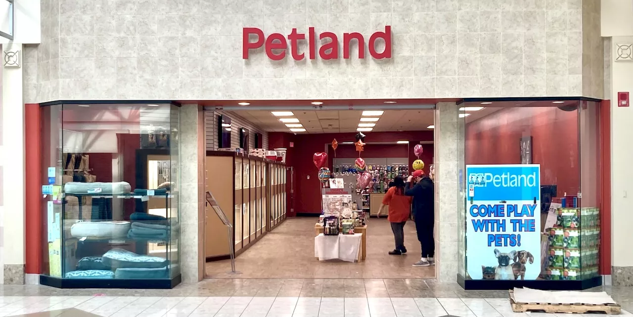 More dog owners say Petland sold them sick puppies for thousands of dollars: Capitol Letter