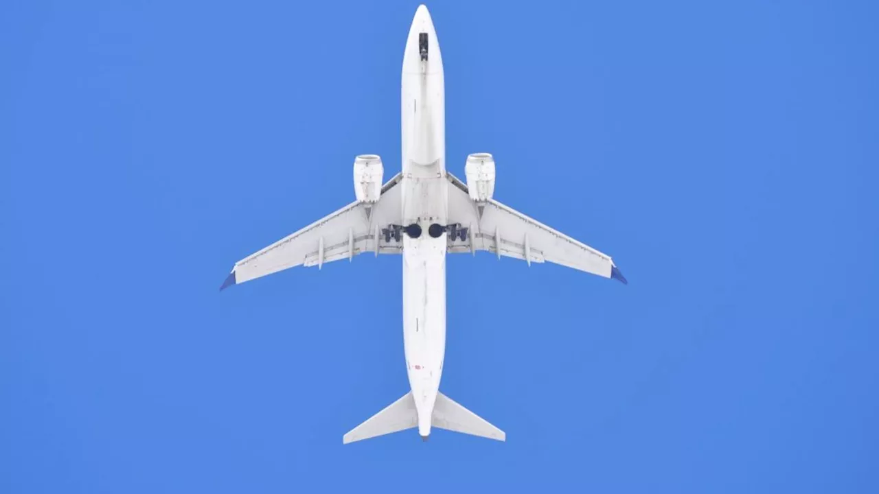 Voli, aumentano le tariffe (da 1 a 72 euro) per la tassa Ue sul clima: rincari per tutti dal 2025, parte Lufthansa
