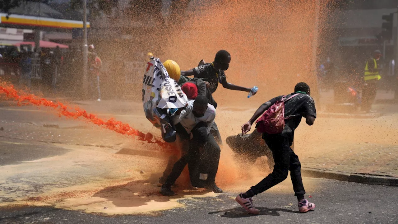 Part of Kenya's parliament is on fire as thousands of protesters enter. Several bodies are seen