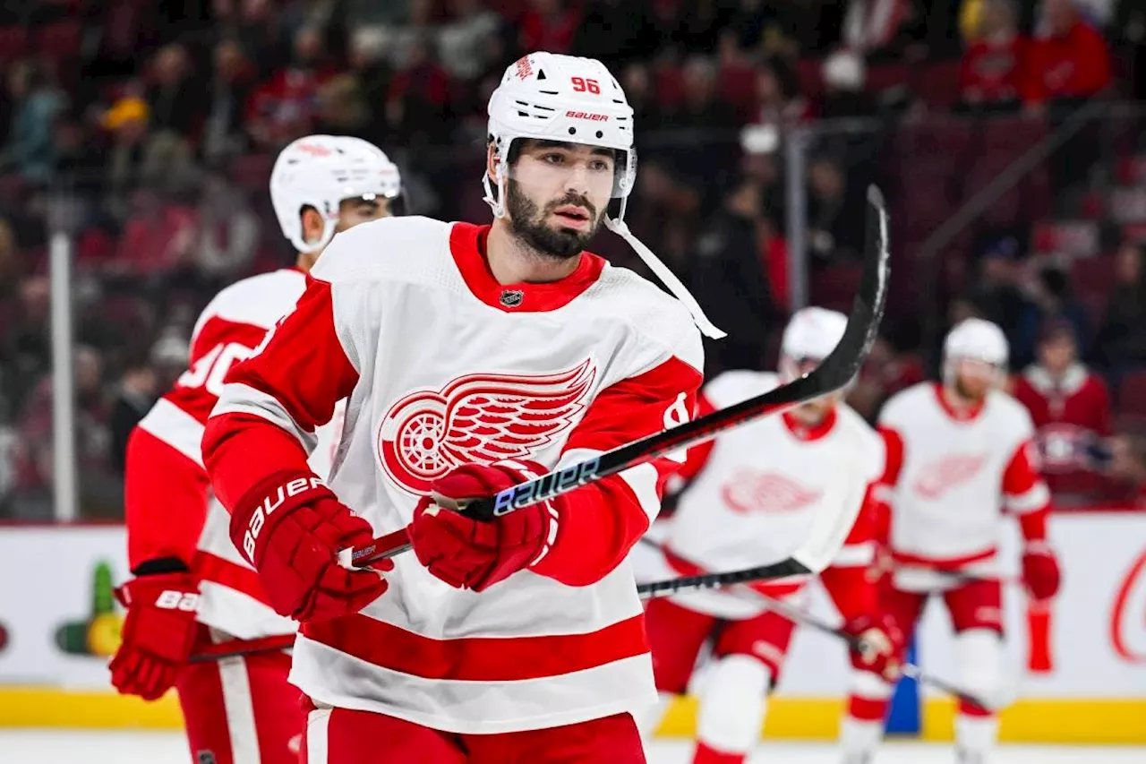 Sharks acquire Jake Walman, 2024 second-round pick from Red Wings for future considerations