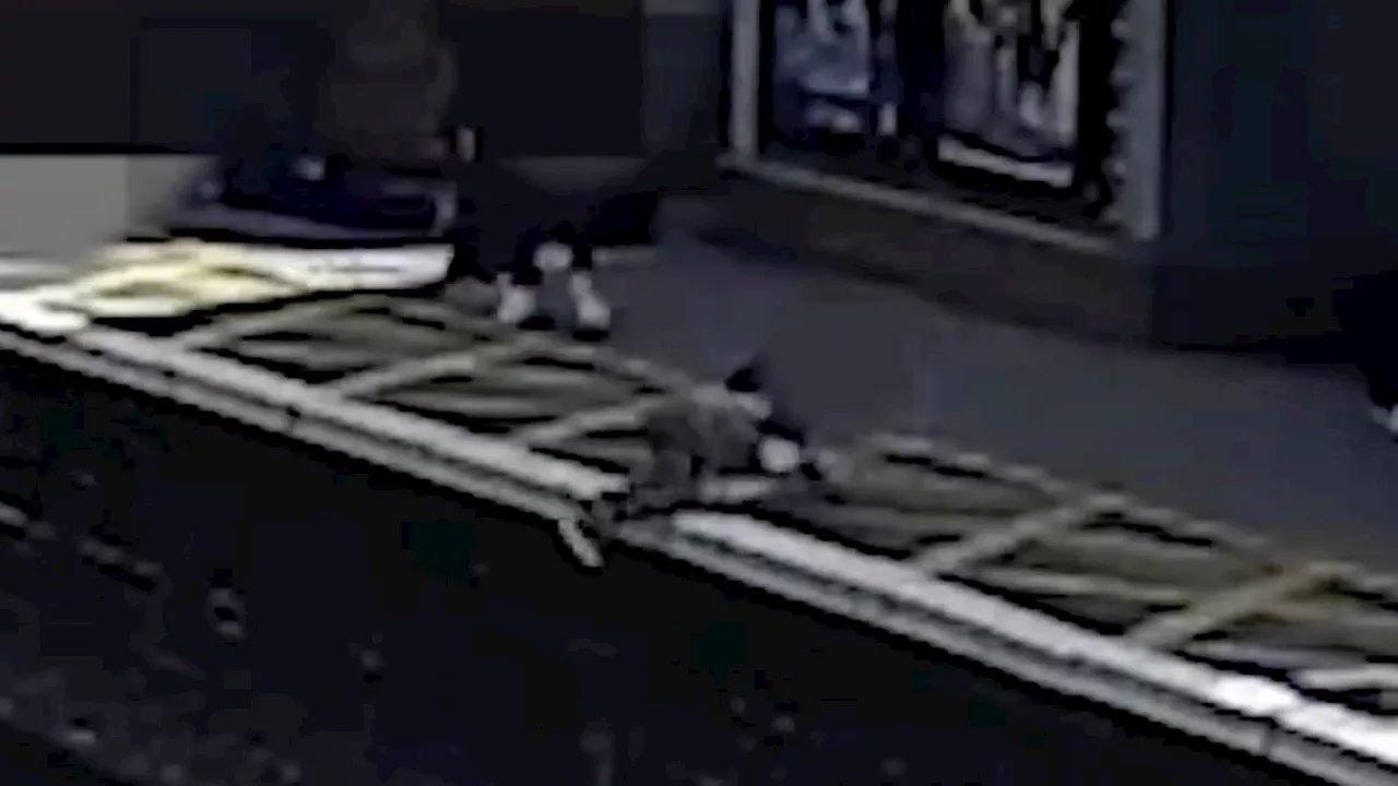 Watch heart-stopping moment child falls onto station train tracks