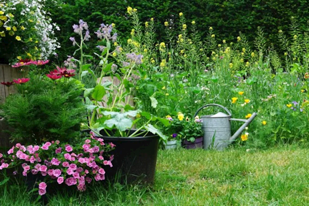 Een tuin is een thuis, maar niet altijd