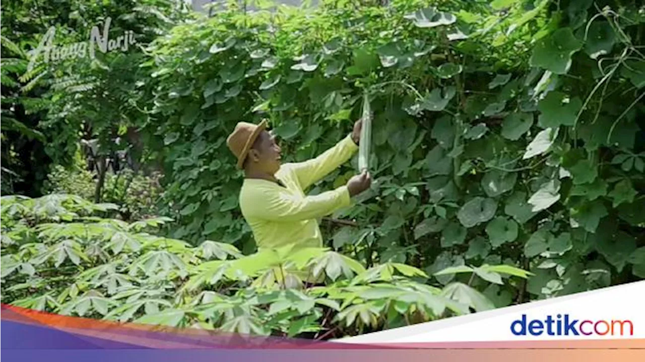 Narji Cagur Punya Lahan 1.000 Ha, Beli Sewaktu Muda