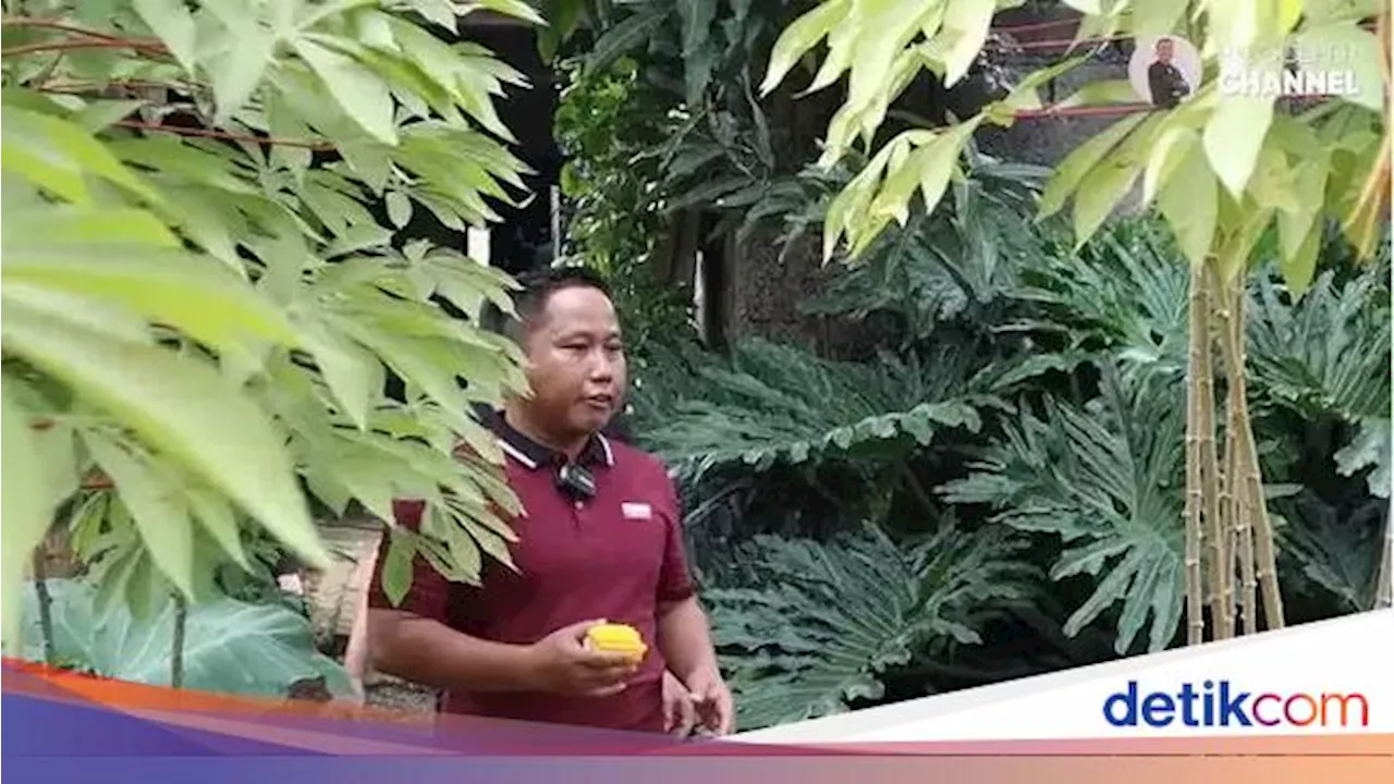 Narji Cagur Punya Lahan 1.000 Ha, Hampir 7 Kali Luas Kebun Binatang Ragunan