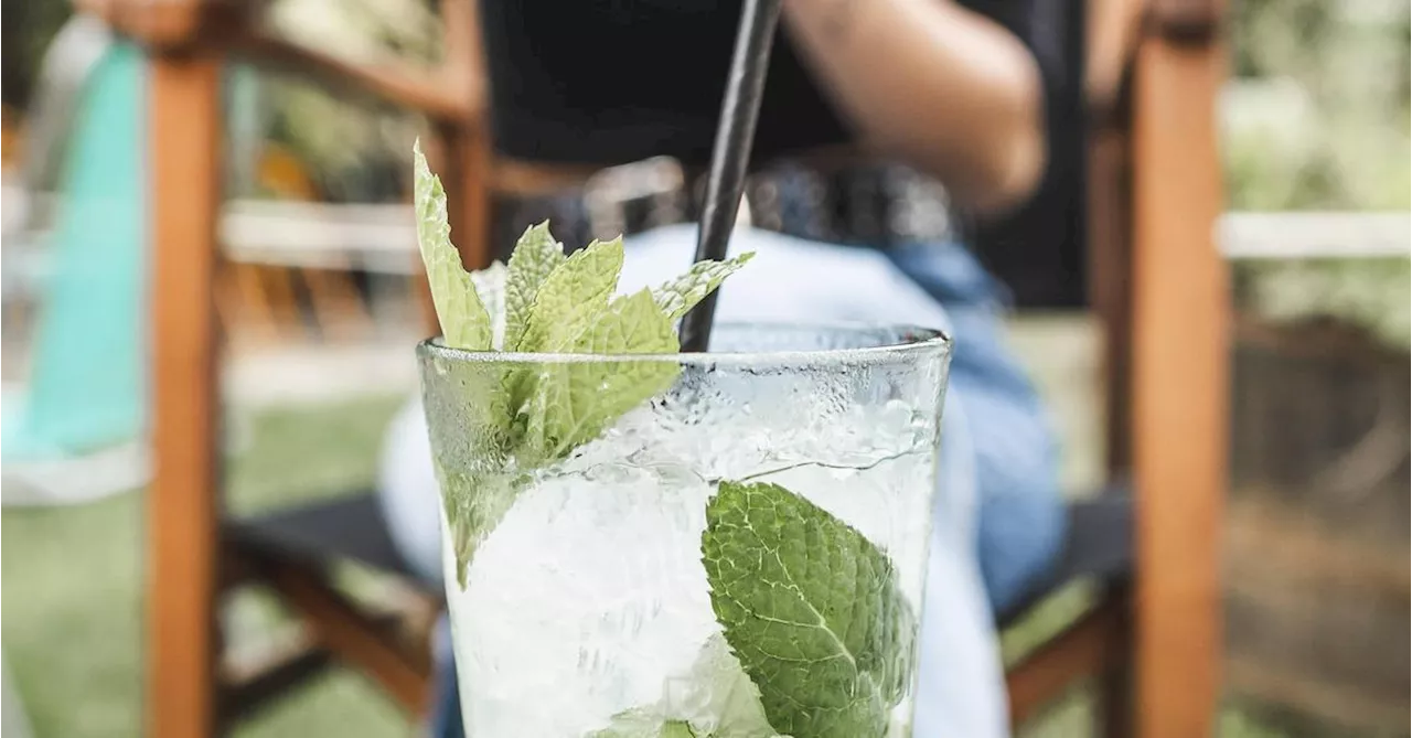 Menschen trinken weltweit weniger Alkohol – aber Österreicher trinken noch immer viel