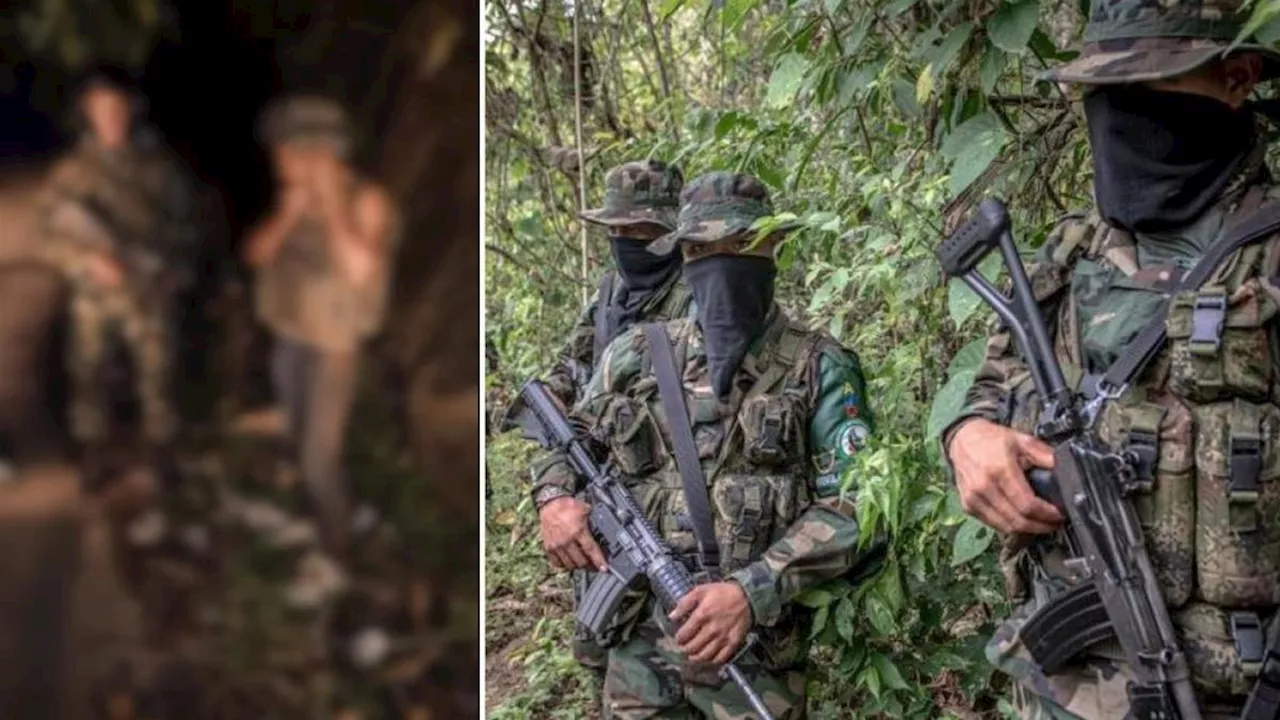 Ejército rescata a un hombre que habría sido secuestrado en el Bajo Cauca antioqueño