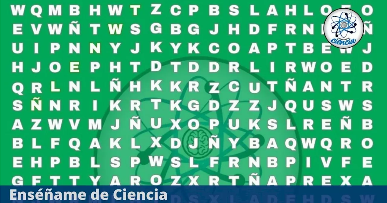 Acertijo visual para PRINCIPIANTES: Encuentra la palabra AGUACATE en la sopa de letras en tiempo récord