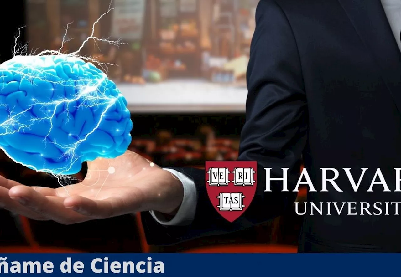 Según Harvard, estas son las 3 películas que más estimularán tu mente