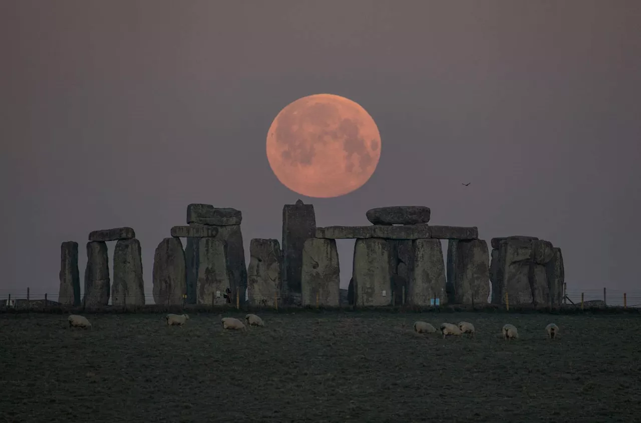 Stonehenge In ‘Danger’ From U.K.’s Road Plan, Warns UNESCO