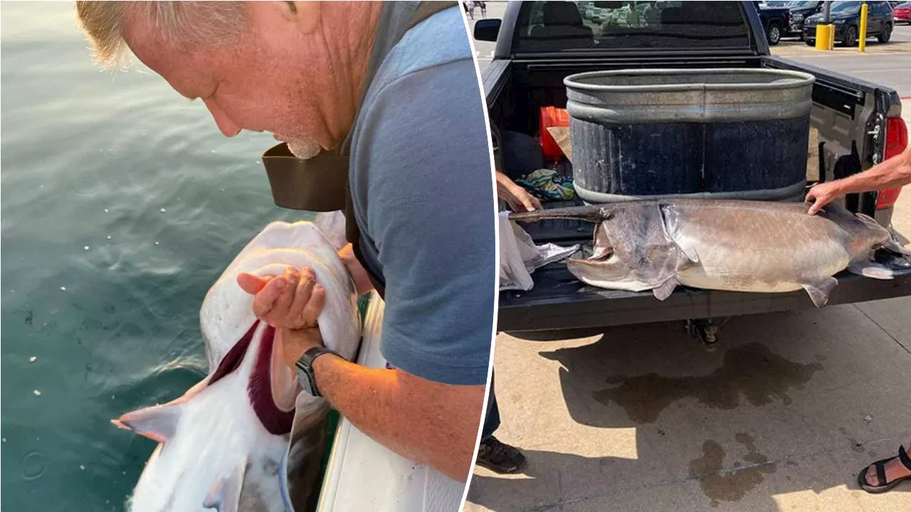 Angler breaks state record with 127-pound catch: 'We got really lucky'