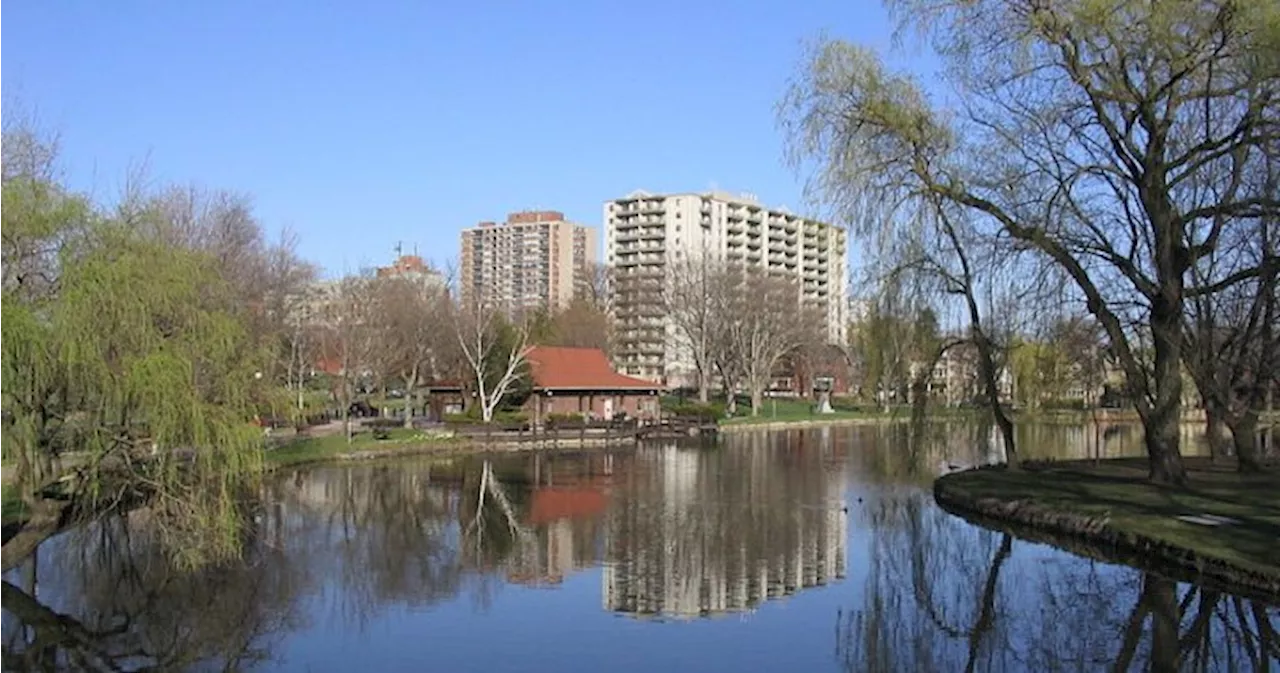 Test project to allow drinking at Victoria Park in Kitchener deferred by council