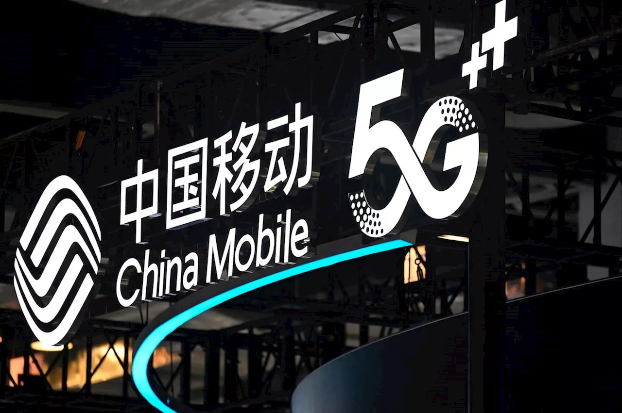 U.S. probing China Telecom, China Mobile over internet, cloud risks