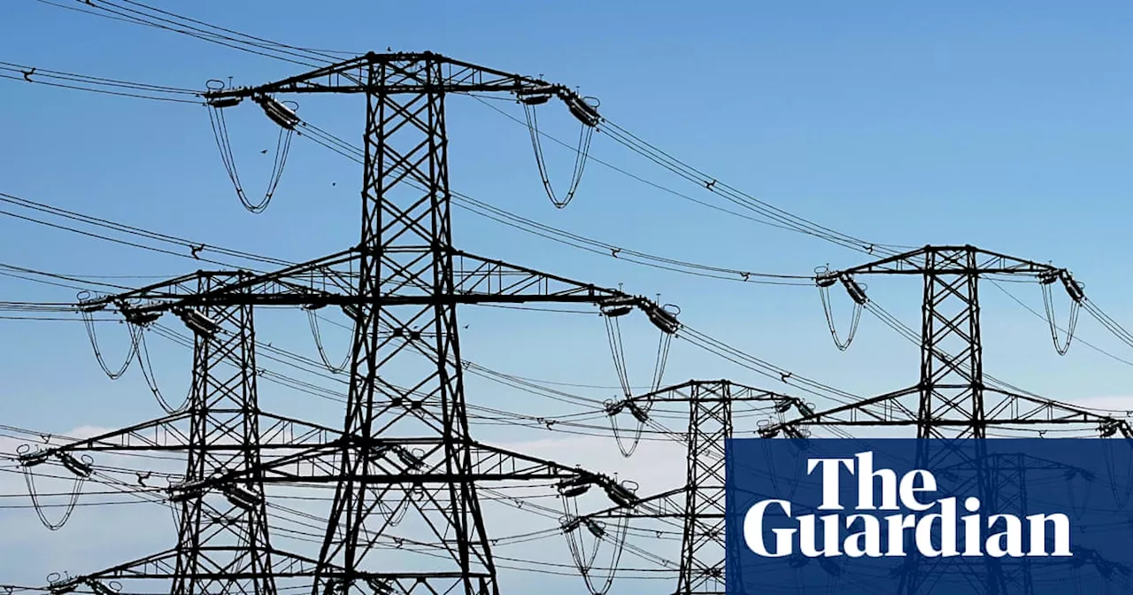 ‘Real and growing’ threat to grid if Australia goes for nuclear power