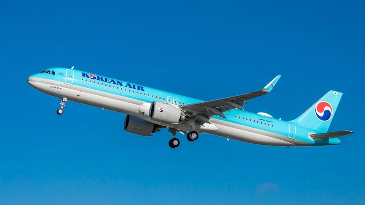 Insiden Menimpa Boeing Lagi, 17 Penumpang Korean Air Dirawat