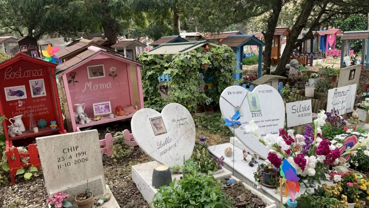 España abre primer cementerio público para perros y gatos de compañía