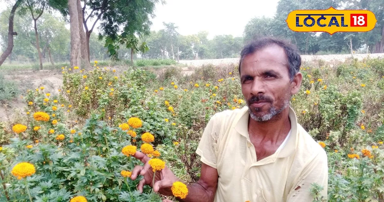 धान-गेहूं छोड़... किसान ने शुरू की यह खेती, चमक उठी किस्मत, आज कमा रहा लाखों