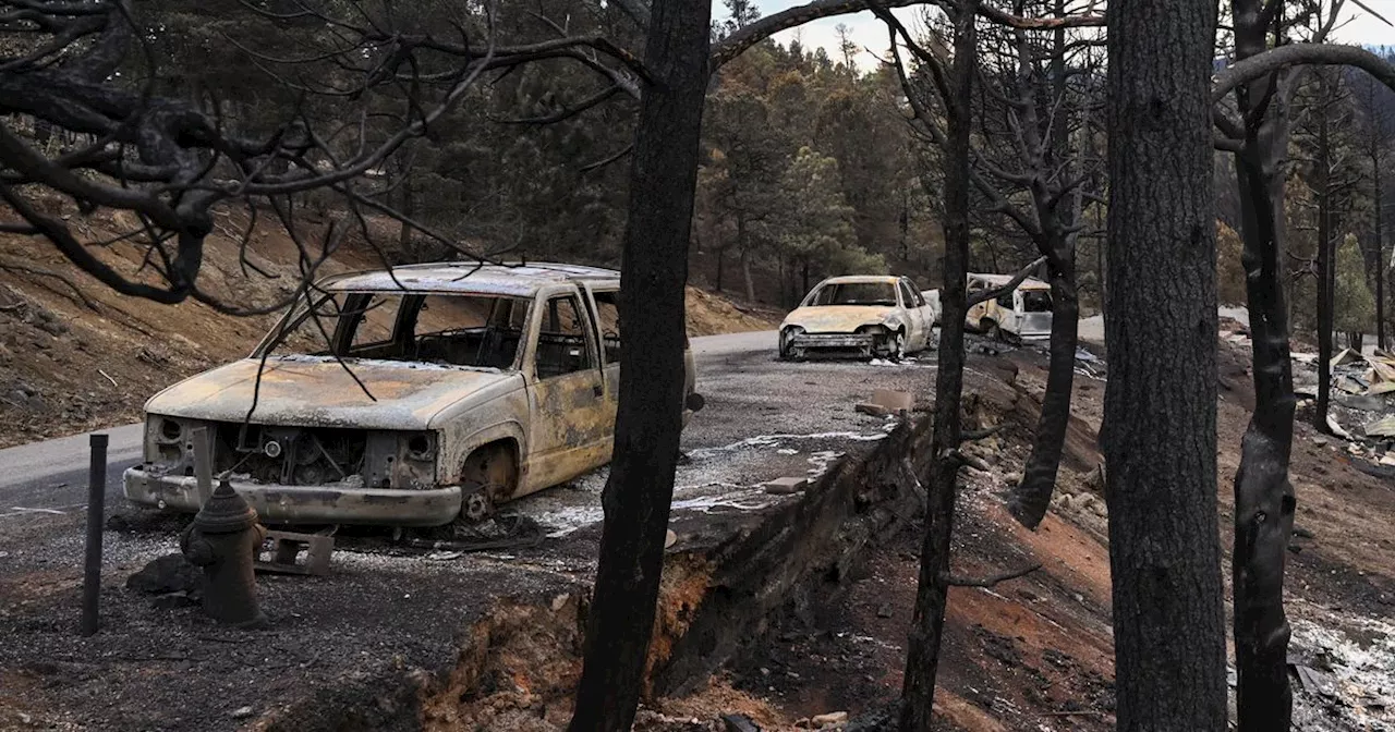 Team Combs Fire-Ravaged New Mexico Community For Remains Of The Missing