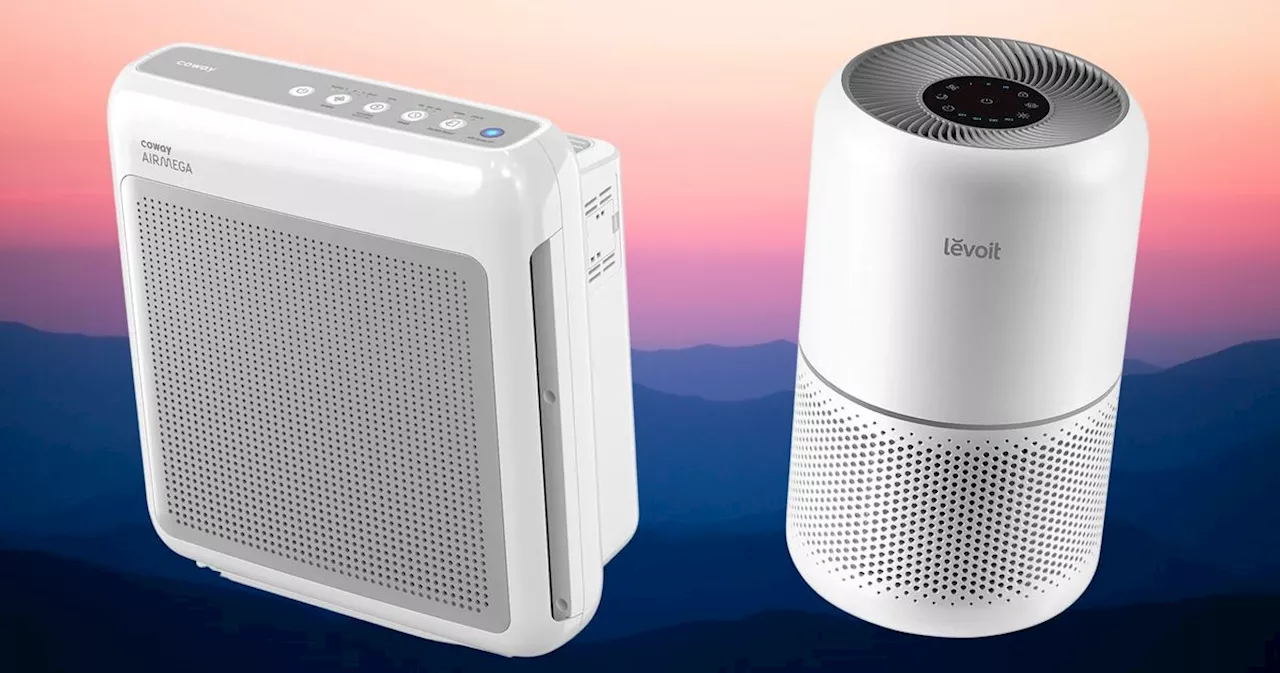 These Are Some Of The Highest-Rated HEPA Air Purifiers On Amazon