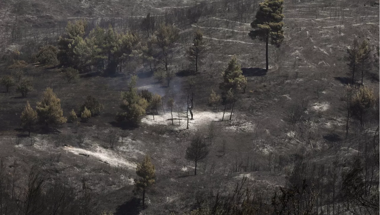 Nel Mediterraneo gli incendi estremi sono aumentati di 10 volte nell'ultima decade