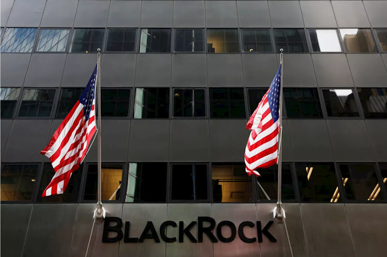 Tech boom: BlackRock doubles down on AI and U.S. tech companies