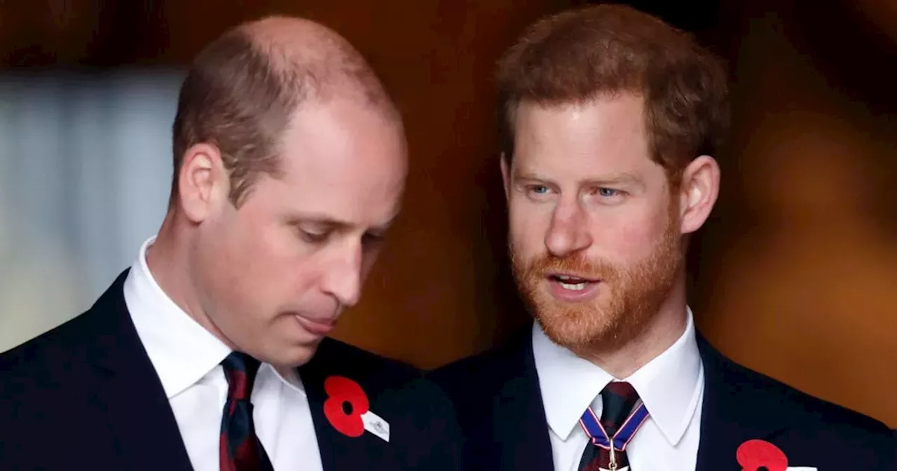 Prince Harry urged to make the first move to end rift with Prince William