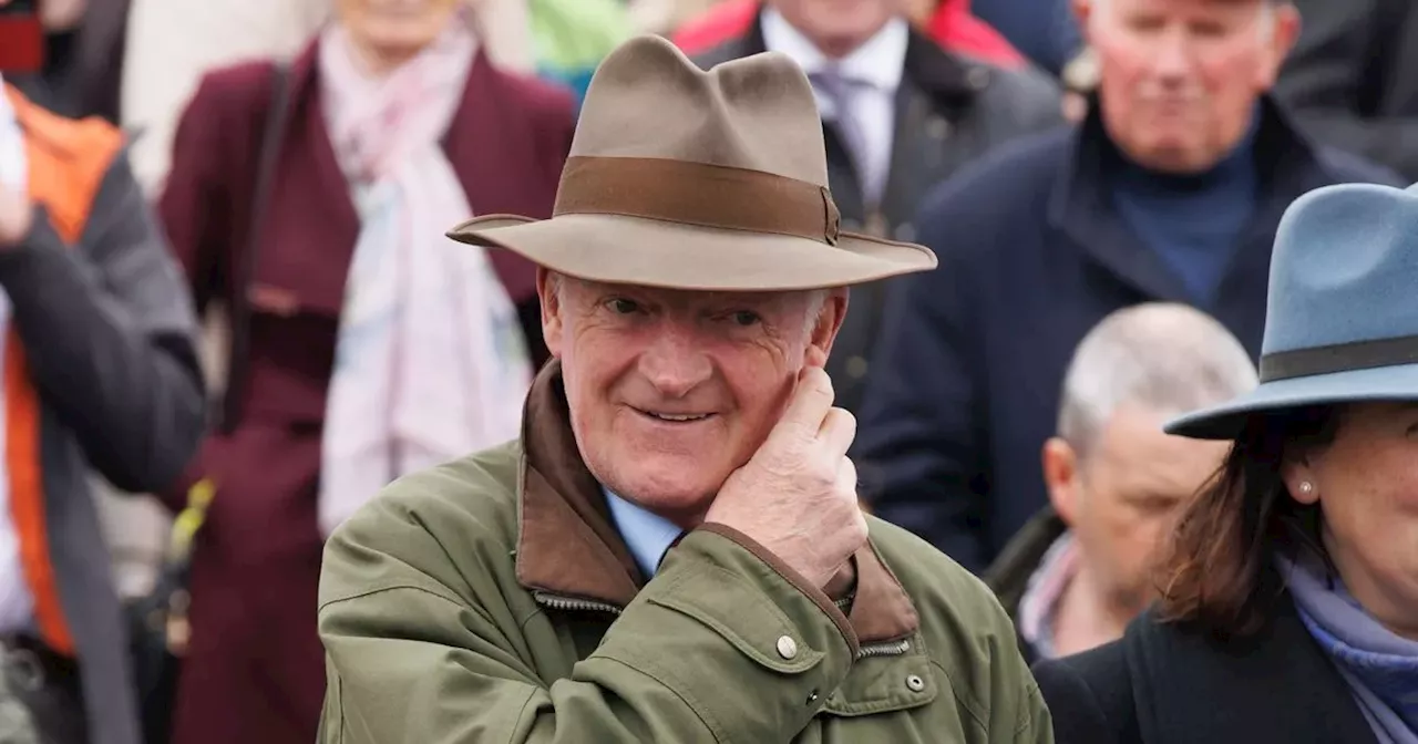 Willie Mullins sells three horses including gelding tipped for Cheltenham