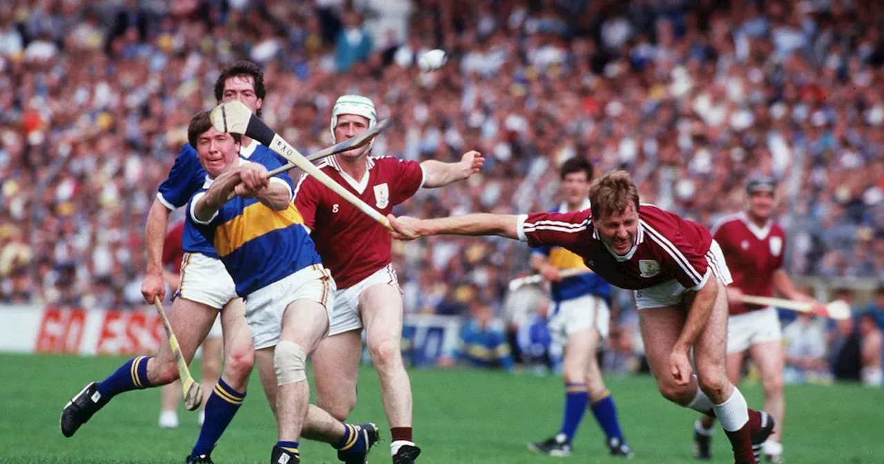 ‘I’ve seen it all now, a Rabbitte chasing a Fox around Croke Park’: Pat Fox on Micheál Ó Muircheartaigh’s famous quote